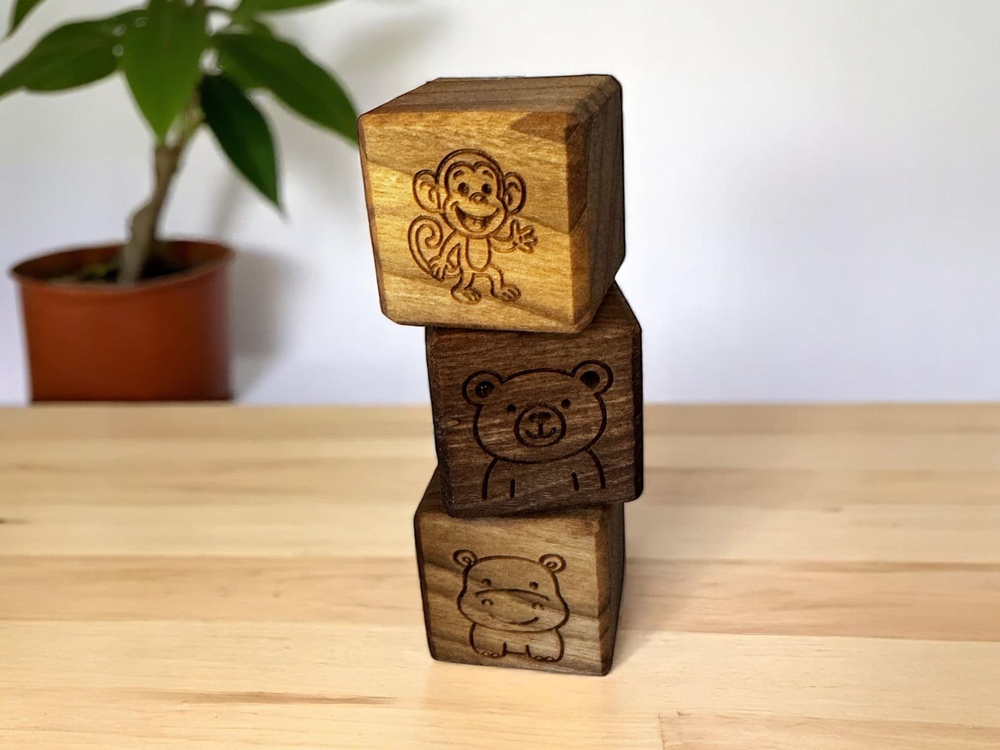 Hankine kocky - základ